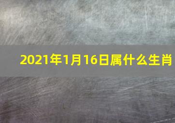 2021年1月16日属什么生肖