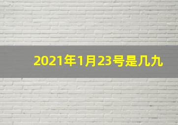 2021年1月23号是几九