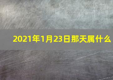 2021年1月23日那天属什么