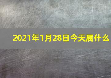 2021年1月28日今天属什么