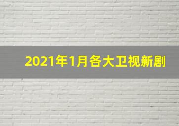 2021年1月各大卫视新剧