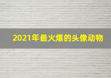 2021年最火爆的头像动物