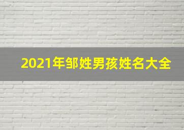 2021年邹姓男孩姓名大全