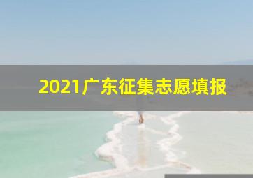 2021广东征集志愿填报