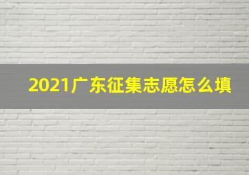 2021广东征集志愿怎么填