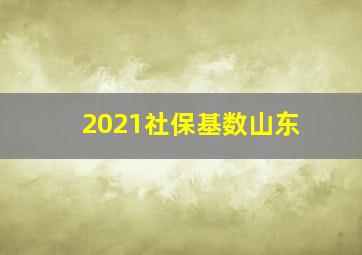 2021社保基数山东