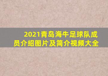 2021青岛海牛足球队成员介绍图片及简介视频大全