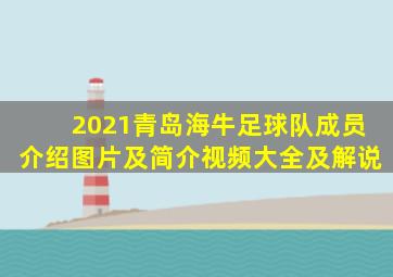 2021青岛海牛足球队成员介绍图片及简介视频大全及解说