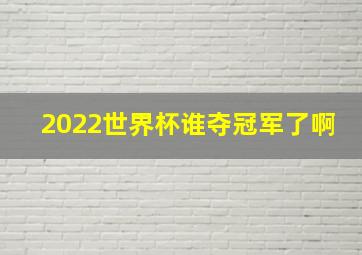 2022世界杯谁夺冠军了啊