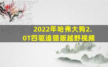 2022年哈弗大狗2.0T四驱追猎版越野视频