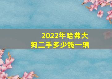 2022年哈弗大狗二手多少钱一辆