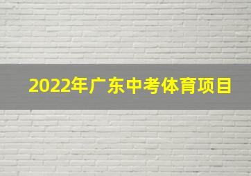 2022年广东中考体育项目