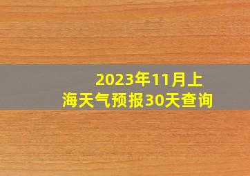 2023年11月上海天气预报30天查询