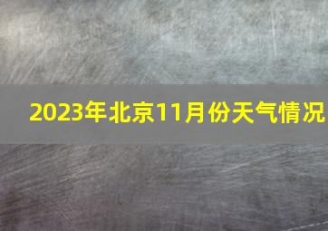 2023年北京11月份天气情况