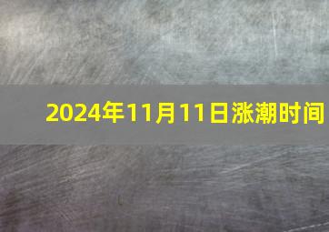 2024年11月11日涨潮时间