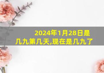 2024年1月28日是几九第几天,现在是几九了