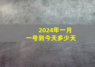 2024年一月一号到今天多少天