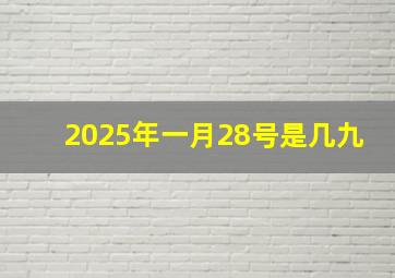 2025年一月28号是几九