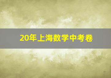 20年上海数学中考卷