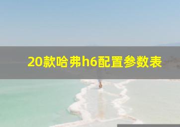 20款哈弗h6配置参数表