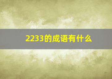 2233的成语有什么