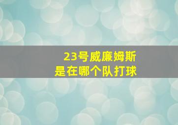 23号威廉姆斯是在哪个队打球