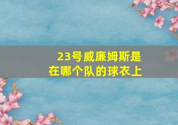 23号威廉姆斯是在哪个队的球衣上