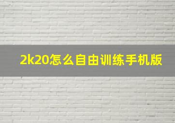 2k20怎么自由训练手机版