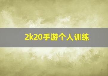 2k20手游个人训练