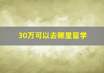 30万可以去哪里留学