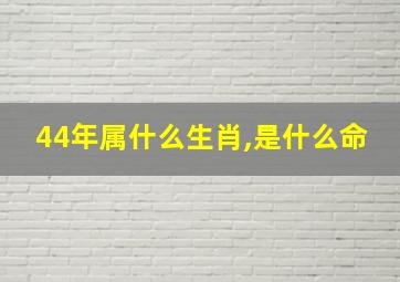 44年属什么生肖,是什么命