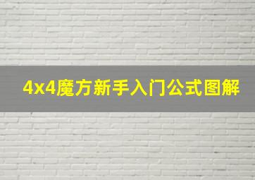 4x4魔方新手入门公式图解