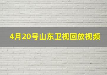 4月20号山东卫视回放视频