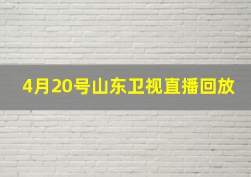 4月20号山东卫视直播回放