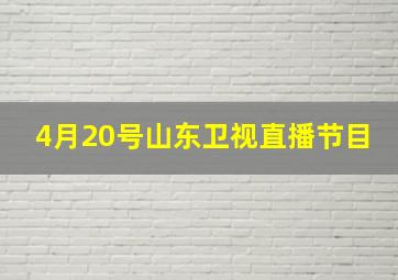 4月20号山东卫视直播节目