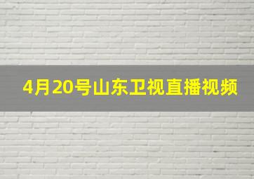 4月20号山东卫视直播视频