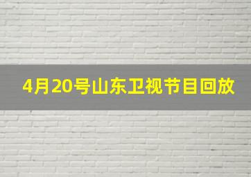 4月20号山东卫视节目回放