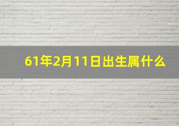 61年2月11日出生属什么