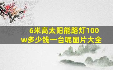 6米高太阳能路灯100w多少钱一台呢图片大全