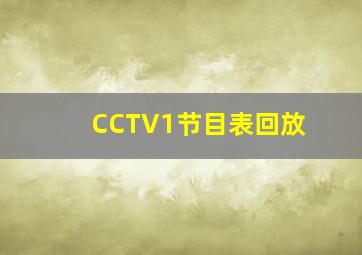 CCTV1节目表回放