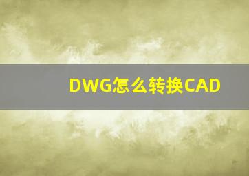 DWG怎么转换CAD