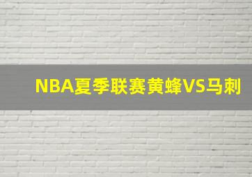 NBA夏季联赛黄蜂VS马刺