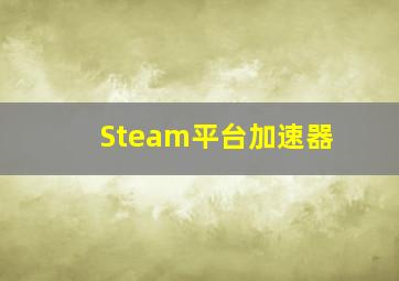 Steam平台加速器