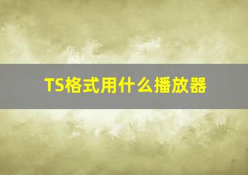 TS格式用什么播放器