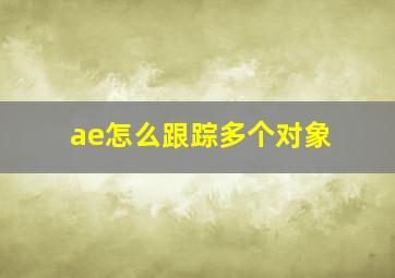 ae怎么跟踪多个对象