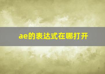 ae的表达式在哪打开