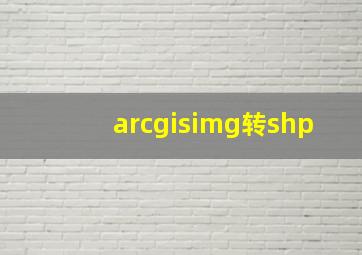 arcgisimg转shp