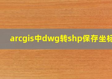 arcgis中dwg转shp保存坐标系