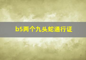 b5两个九头蛇通行证