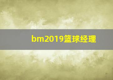 bm2019篮球经理